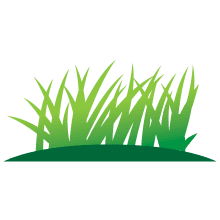 Herbe et foin uniquement