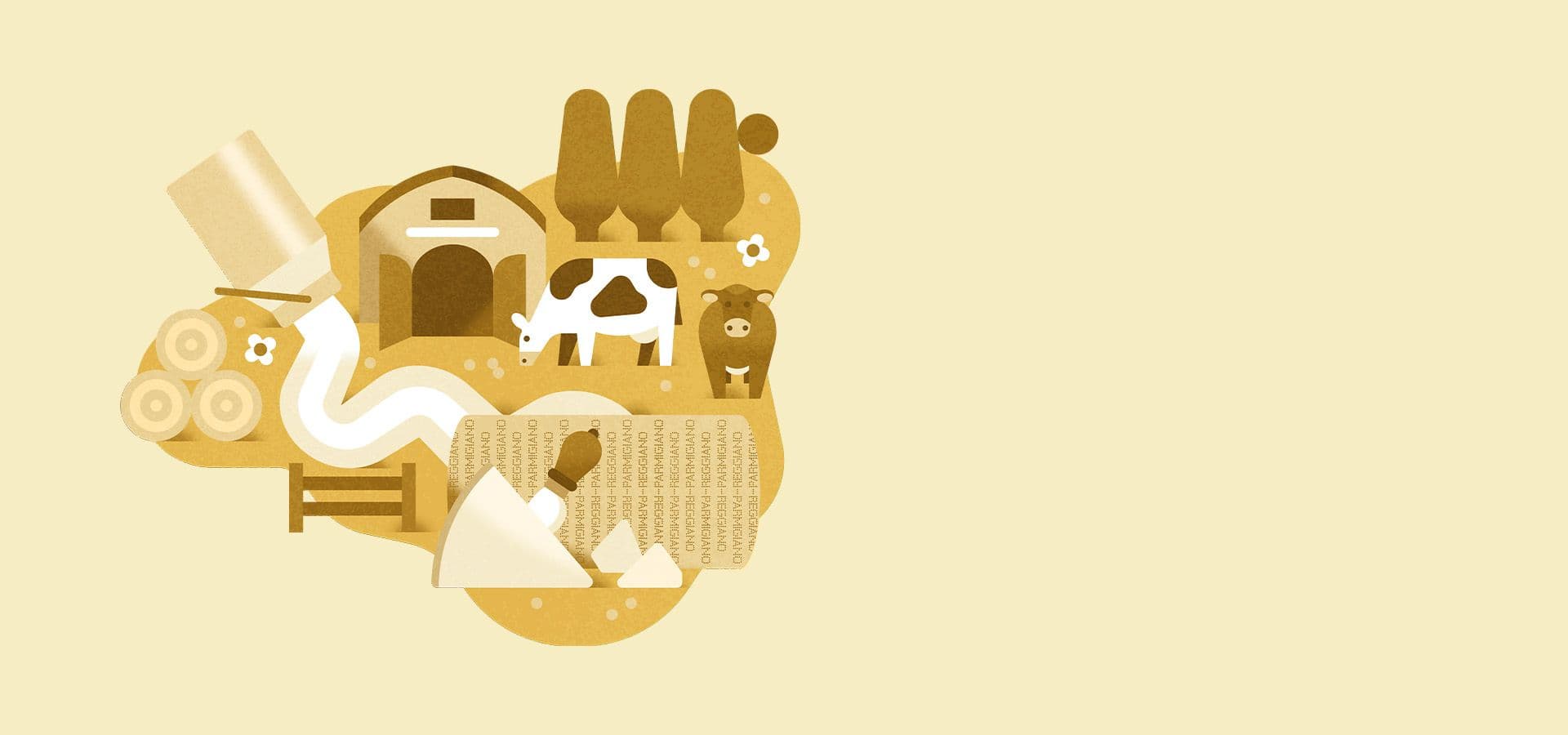 image  home slider