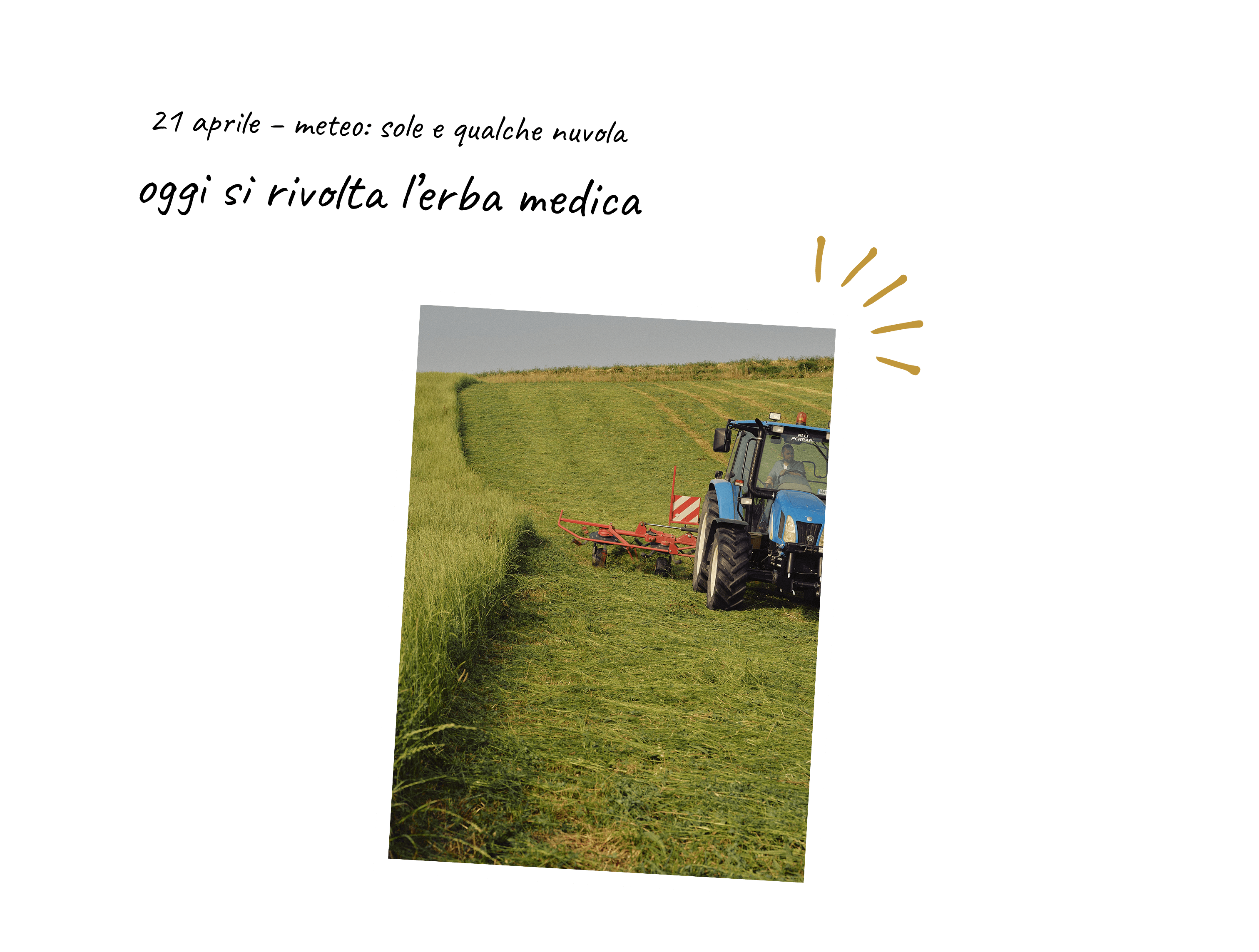 desktopimmaginetesto